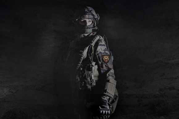 Military & government